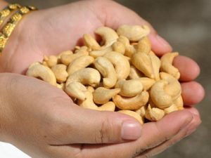 Красивые орехи кешью фото